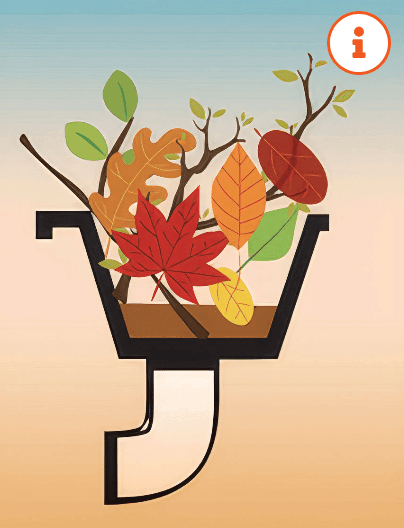 Fall
